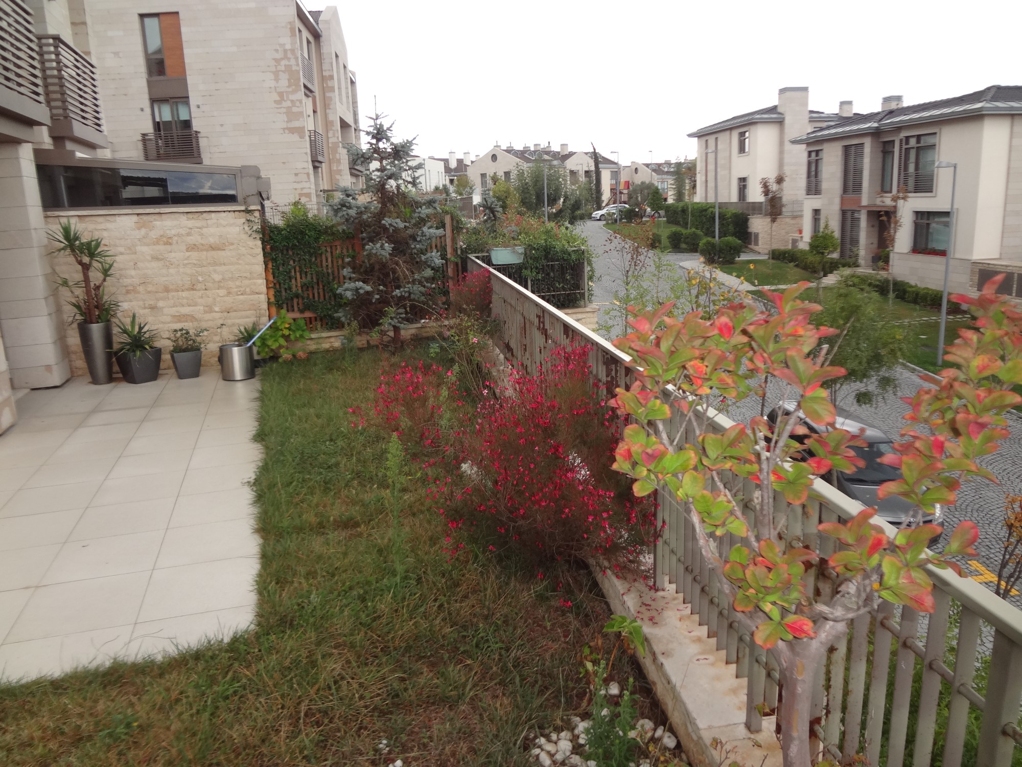 	 Garden Apartment In Istanbul - Exterior and private garden