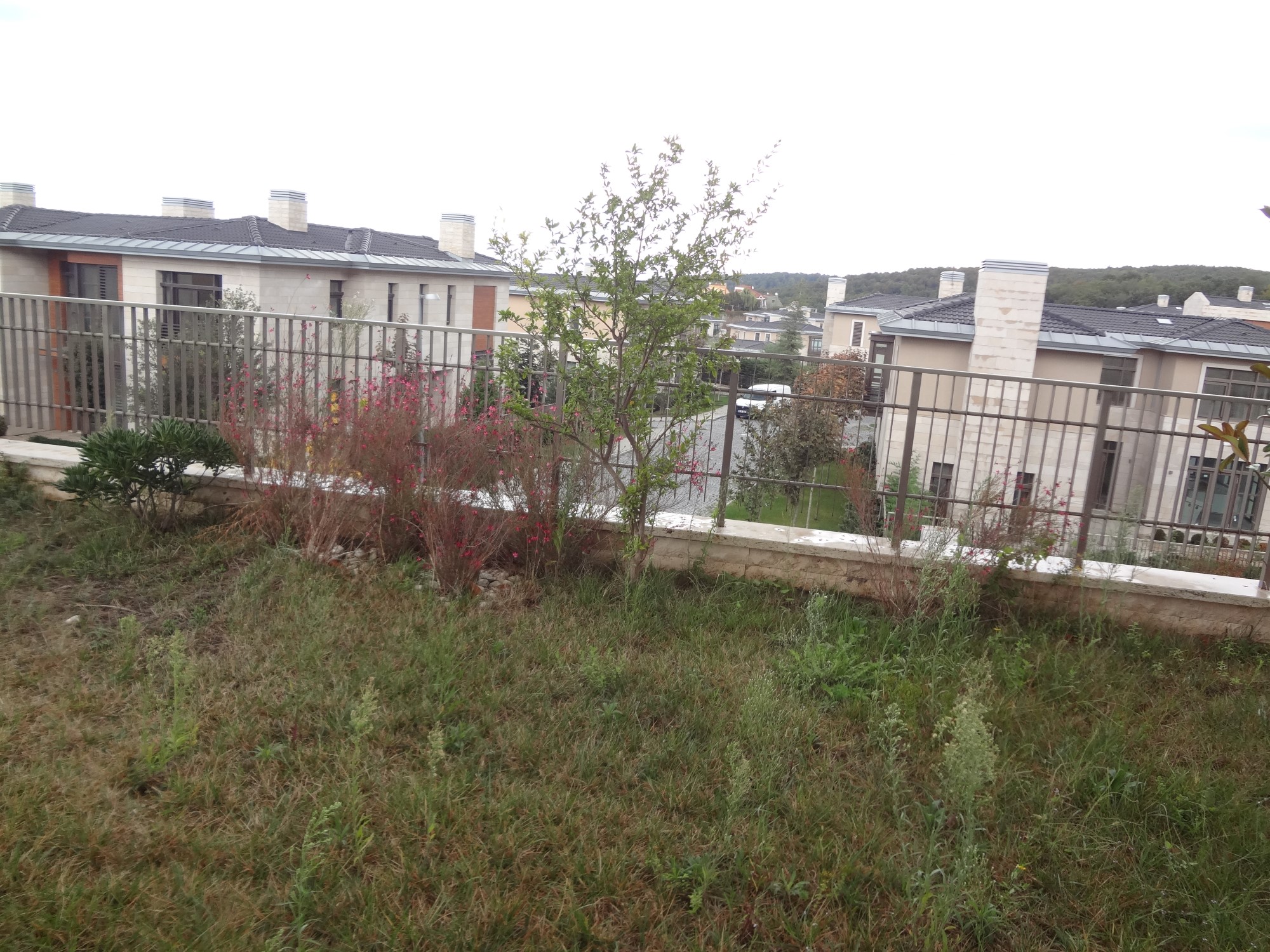  Garden Apartment In Istanbul - Exterior and private garden