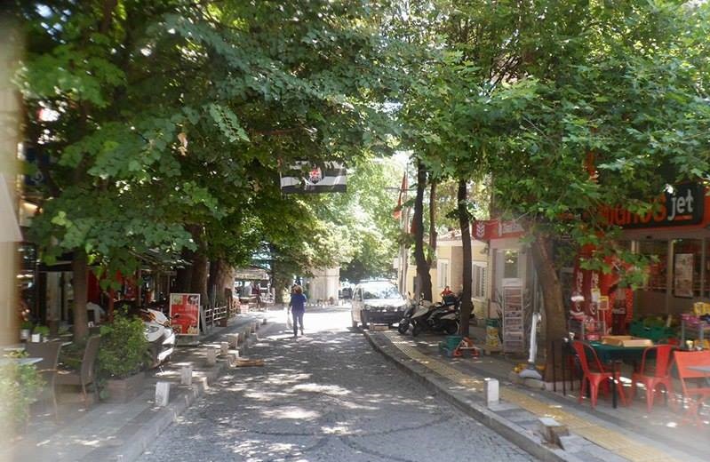 	 Prestigious Istanbul Bosphorus VIew Apartment - Breathtaking views - Pretty tree lined avenue