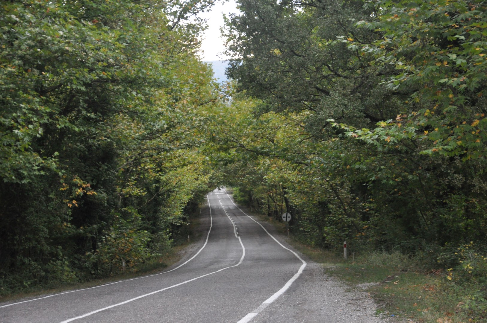 Spacious Sea View Istanbul Villa - Beautiful country lanes