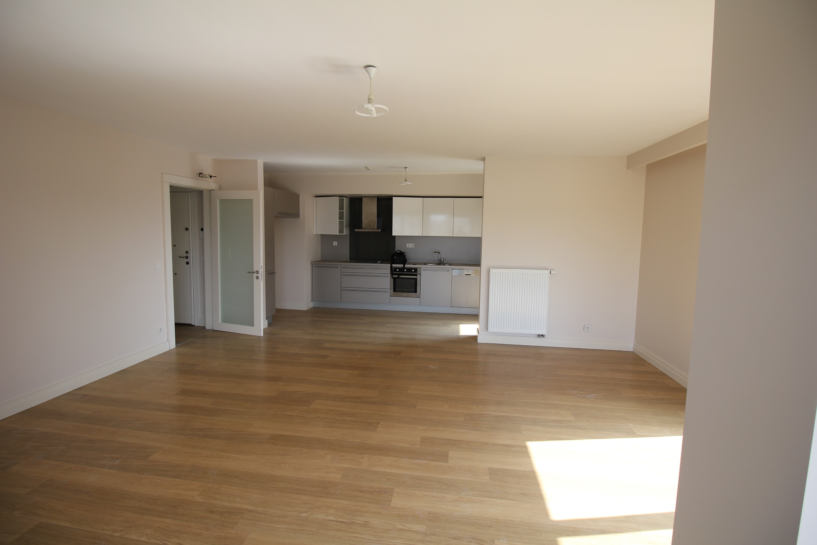 Distinguished Forest View Istanbul Apartment - Open plan living