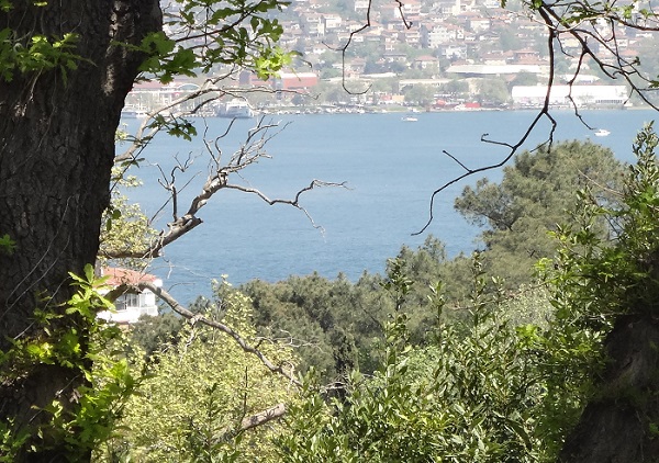 Family Sea View Villa - Yenikoy, Istanbul - Zoomed in view of the Bosphorus