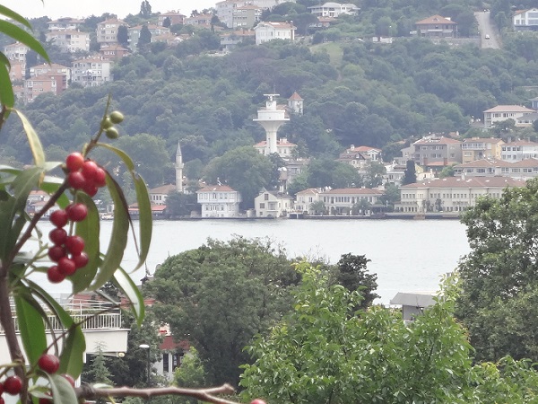 Prestigious  Sea View Apartment - Istanbul - Sea and nature views