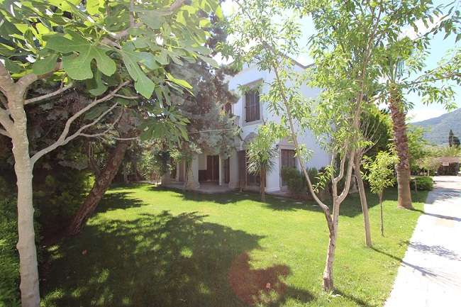 Sea Front Bodrum Villa - Turkbuku - Mature gardens