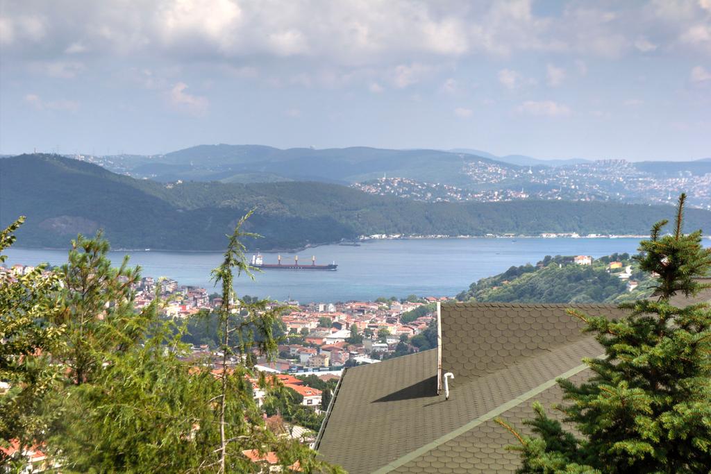 Bosphorus View Istanbul Villa - Fabulous Bosphorus views