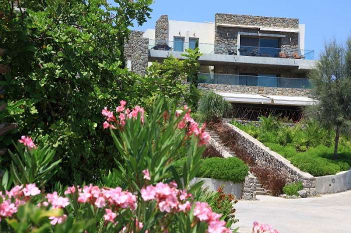 Elite Sea Front Villas - Turkubuku - Beautiful landscaped gardens