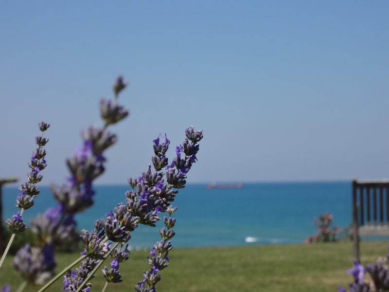 	 Beachfront villa Kumkoy - Sea view from garden
