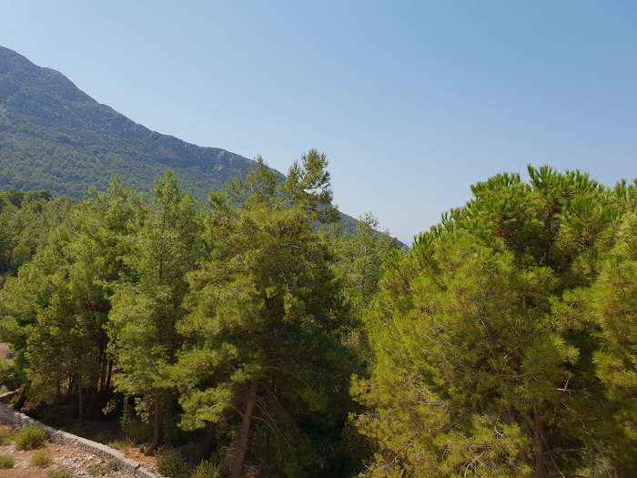 Sea & Nature View Ovacik Land - Distant sea views