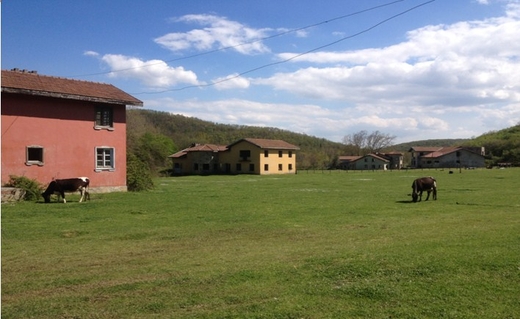 Istanbul Villas For Sale On A Large Private Estate