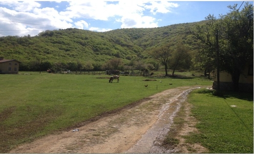 Istanbul Villas For Sale On A Large Private Estate