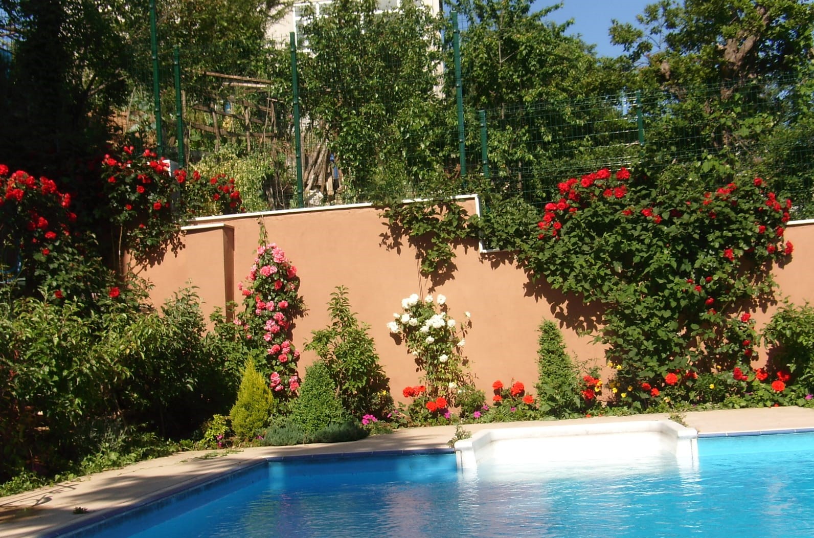 Istanbul Villa - Belgrad Forest private pool