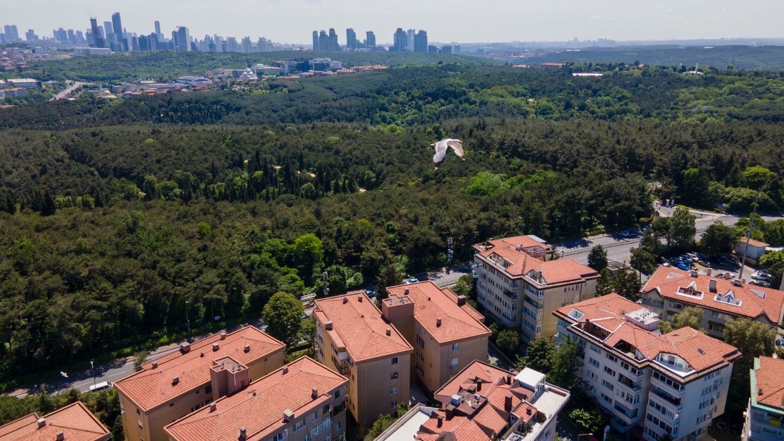 Traditional furnished Istanbul Apartment For Sale - View to city