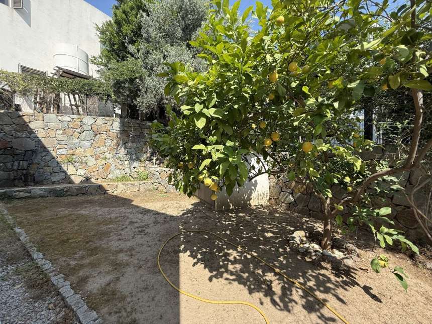 Unmissable Investment Property For Sale In Bodrum - Pretty garden