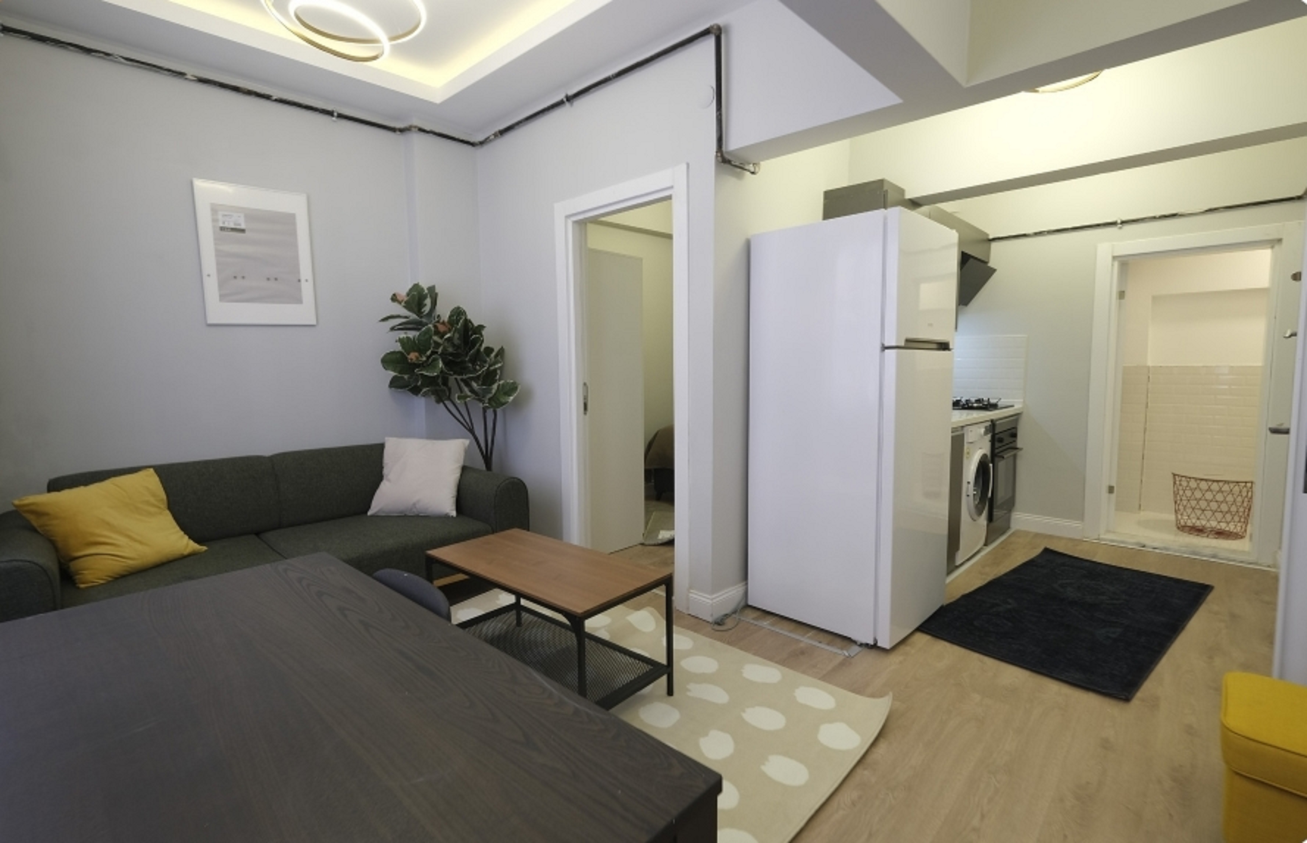 Istanbul Renovated Building For Sale in Istanbul - Open-plan apartment