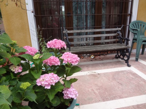 Three Storey Istanbul Villa For Sale- Close To The Bosphorus - Front terrace